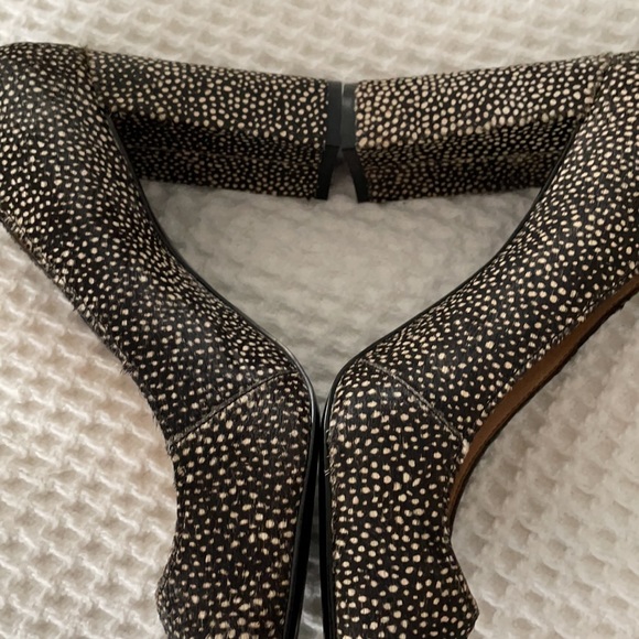 Brand New - Animal (NWOT) - Picture 7 of 8